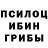 Псилоцибиновые грибы прущие грибы Yuriy Fomin