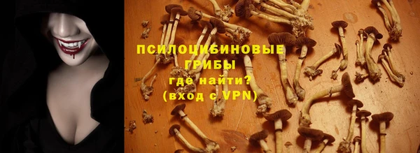 марки lsd Переславль-Залесский