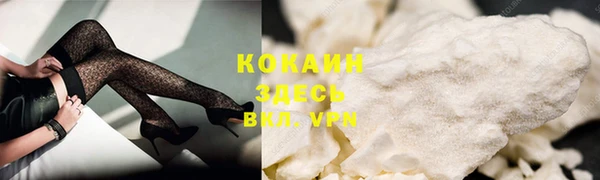 ешки Пересвет