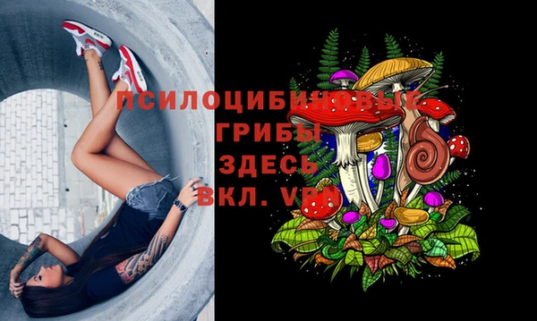 марки lsd Переславль-Залесский