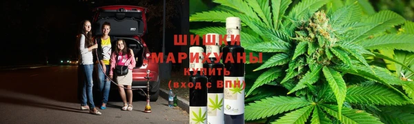 мдпв Богданович