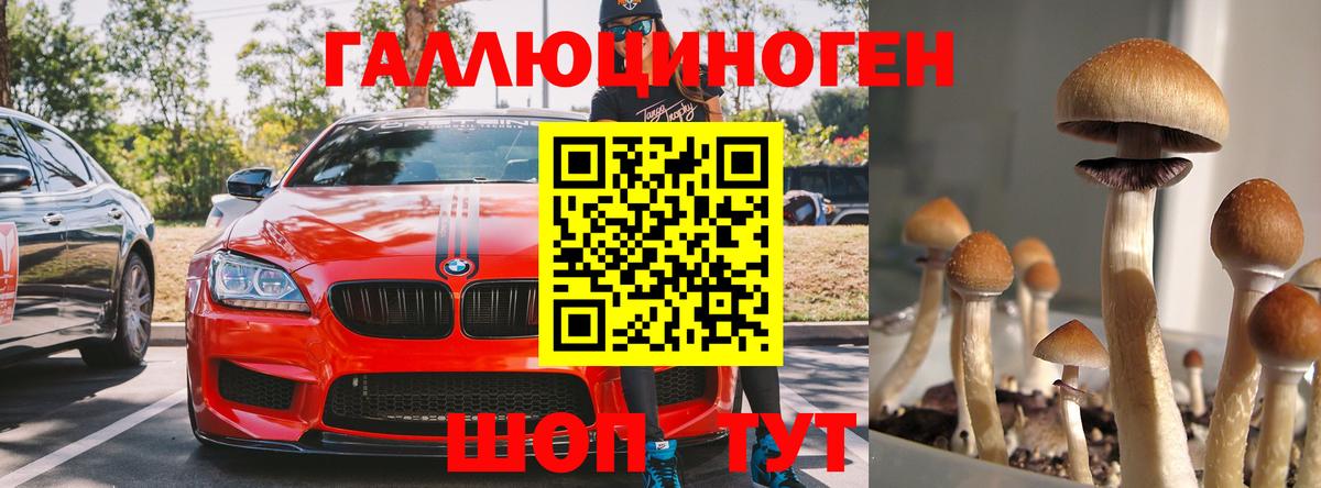 Галлюциногенные грибы MAGIC MUSHROOMS  Сертолово 